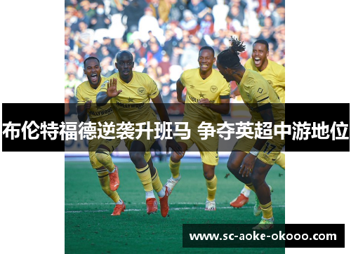 布伦特福德逆袭升班马 争夺英超中游地位